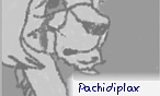 pachidiplax