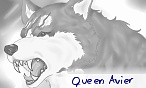 Queen Avier