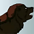 Bear Cubs