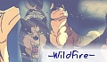 -WildFire-