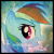 Rainbow dash.