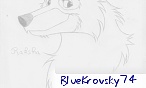 Blue Krovsky