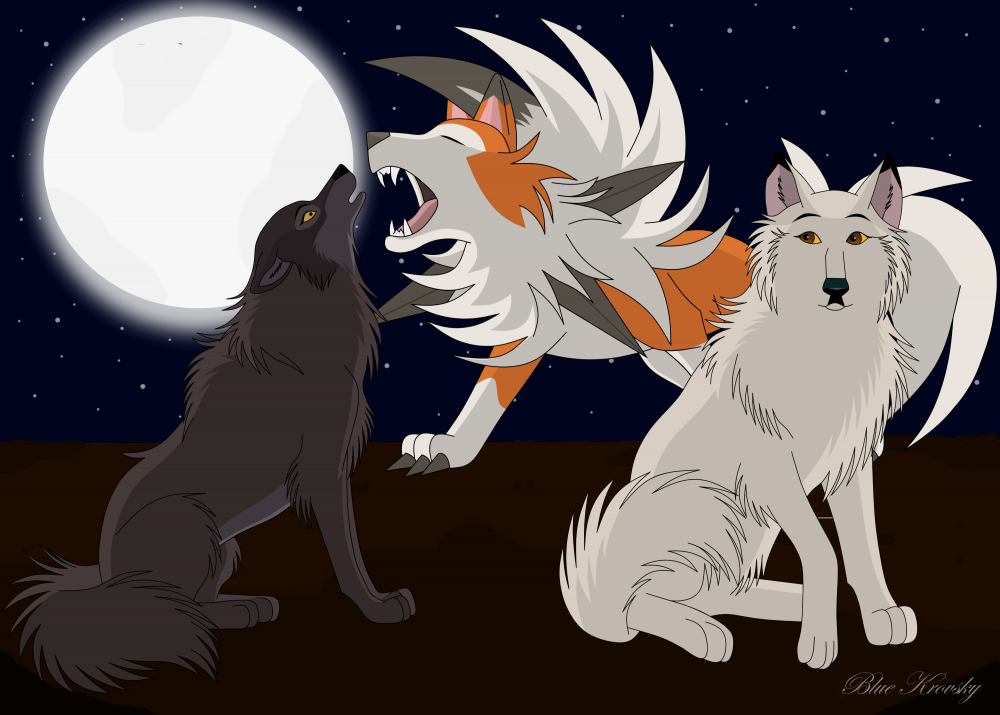 Projet Pokemon Guest