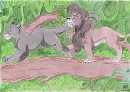 Hunt in the jungle