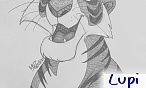 Lupi