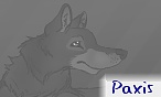 Paxis