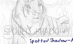 Spotted Shadow