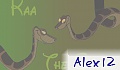 Alex 12