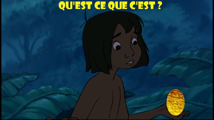 Toutes