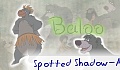 Spotted Shadow