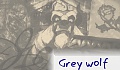 Grey wolf