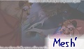mesh'