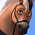 Sitron