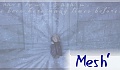 mesh'