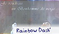 Rainbow Dash'