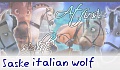 saske italian wolf