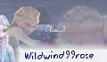 Wildwind99rose