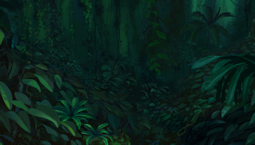 Jungle