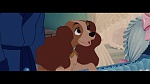 Image The Lady and the Tramp