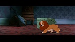 The Lady and the Tramp picture