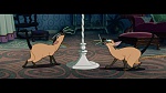 Image The Lady and the Tramp