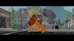 The Lady and the Tramp picture