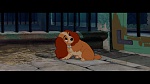 Image The Lady and the Tramp