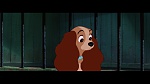 The Lady and the Tramp picture