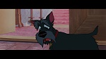 Image The Lady and the Tramp