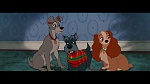 Image The Lady and the Tramp