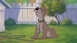 Image Lady and the Tramp II: Scamp's Adventure