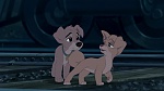 Lady and the Tramp II: Scamp's Adventure picture