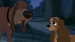 Lady and the Tramp II: Scamp's Adventure picture