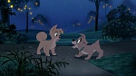 Lady and the Tramp II: Scamp's Adventure picture