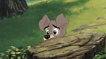 Image Lady and the Tramp II: Scamp's Adventure