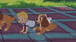 Image Lady and the Tramp II: Scamp's Adventure