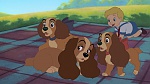 Image Lady and the Tramp II: Scamp's Adventure