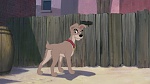 Image Lady and the Tramp II: Scamp's Adventure
