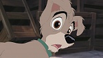 Image Lady and the Tramp II: Scamp's Adventure
