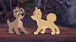 Image Lady and the Tramp II: Scamp's Adventure