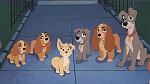 Image Lady and the Tramp II: Scamp's Adventure