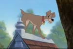 Tramp look-alike in  Pound Puppies  episode