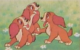 Scamp