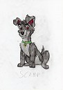 Scamp 3
