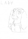 Lady