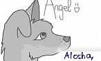 Alosha,