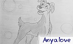 anyalove
