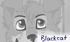 Blackcat