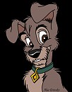 Scamp