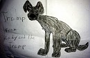 Tramp
